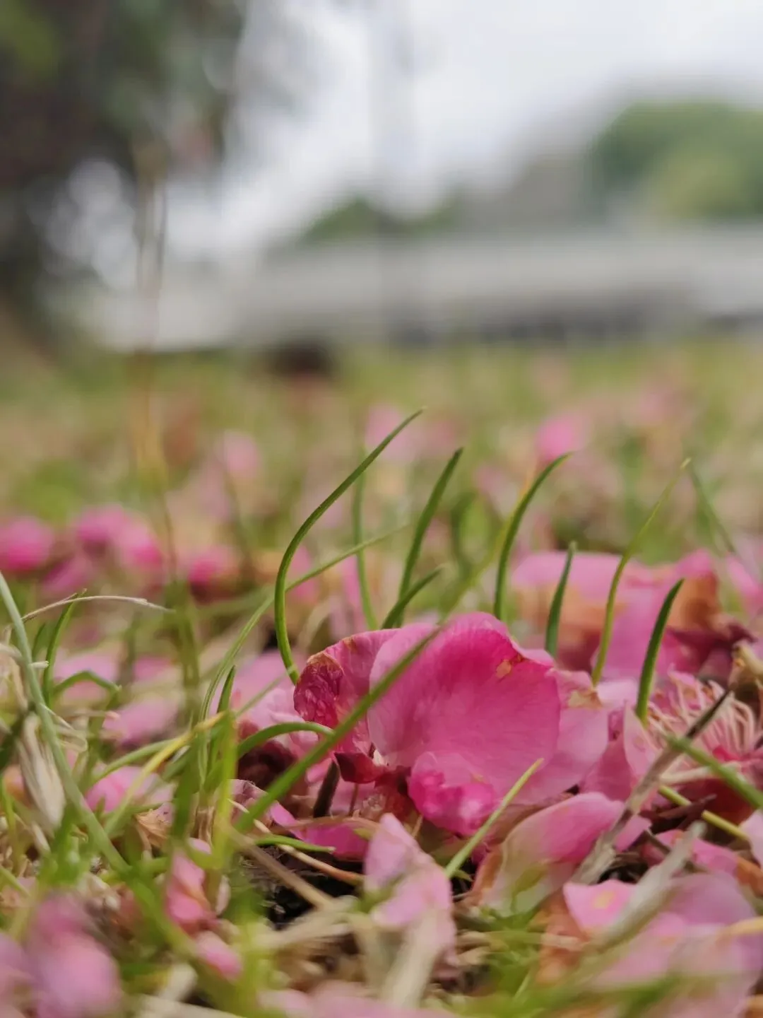 中考倒计时108天,开学第一天的小趣事 第1张