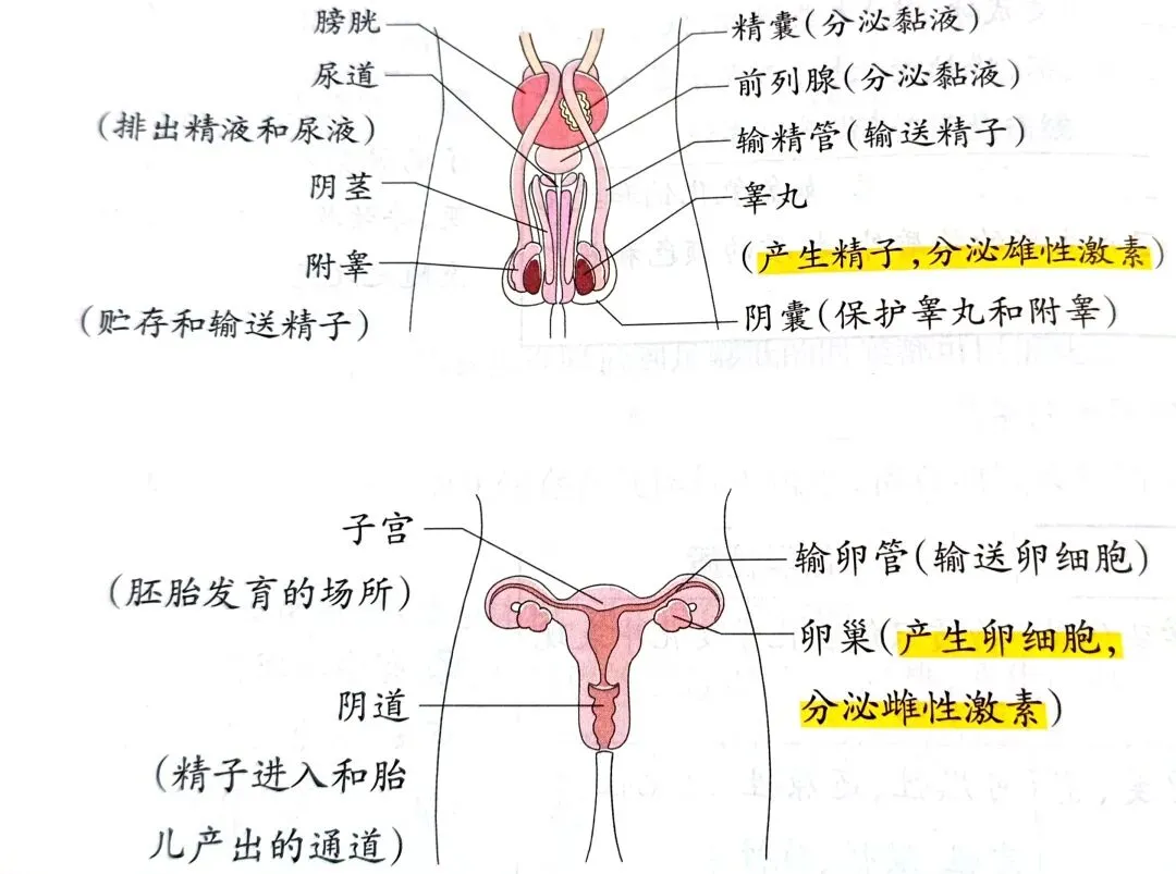 中考科学知识点复习3 第2张