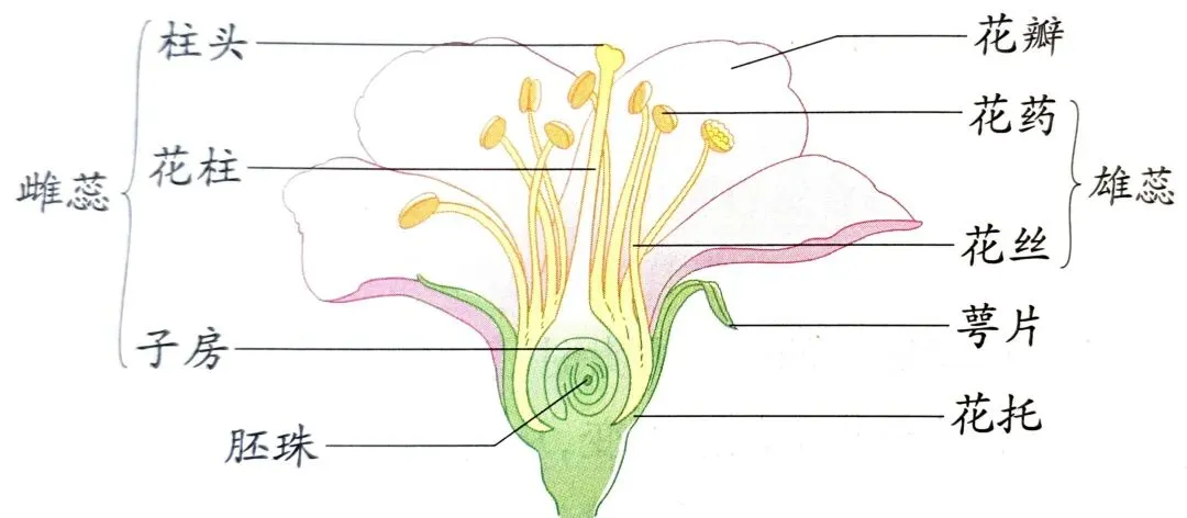 中考科学知识点复习3 第5张