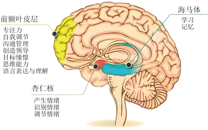 2026年新中考语文一轮复习非连续性文本阅读| 拓展、运用与探究|课件+讲练 第27张