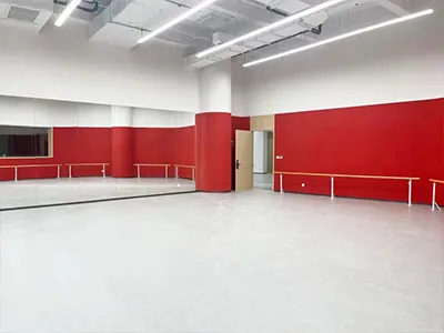 上海中考已不足百天,成绩不乐观可选择的“职普融通”:上海双威公学 第12张