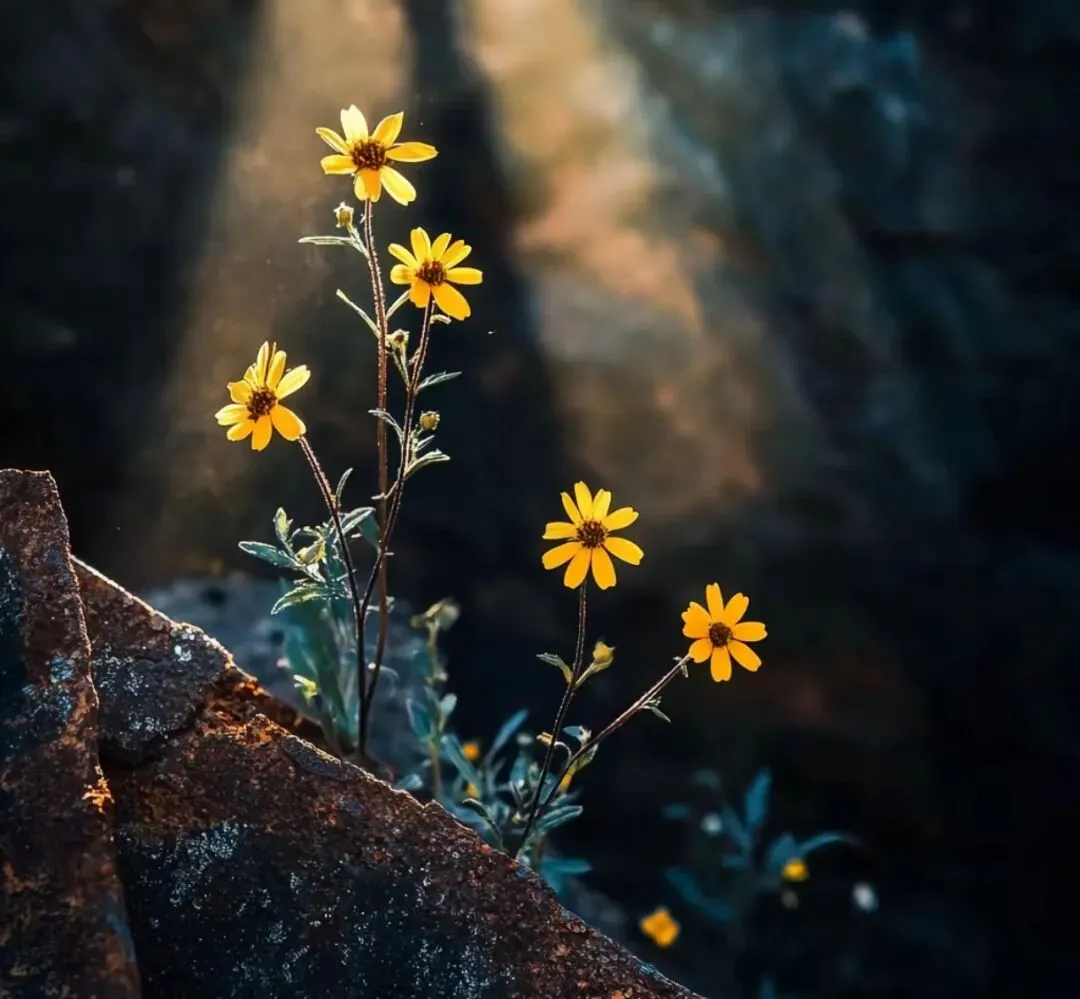 【百校联考】2024年山西中考模拟百校联考(二)英语试卷+听力+答案 第18张