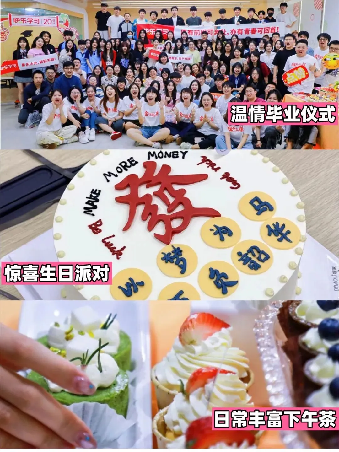 今天报名!2026厦门中考怎么报名?在哪里报名? 第27张