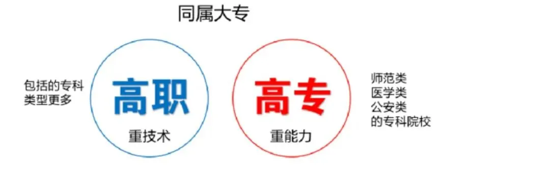 中考择校不踩坑!中职 / 中专 技校 高职… 这些概念一次分清! 第4张