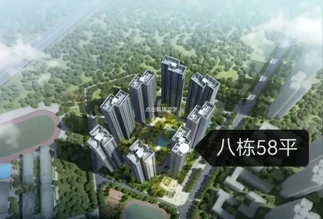 南山中考第一梯队学区【西丽丹华公馆】建面58-101㎡ 留仙洞总部芯现楼 全套资料+优缺点分析 第14张