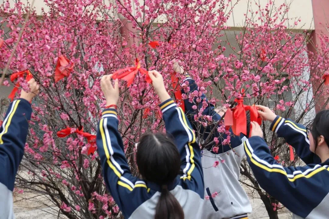 百日砺剑赴山海 江山逐梦定乾坤|我校中考百日誓师大会燃情启幕 第31张