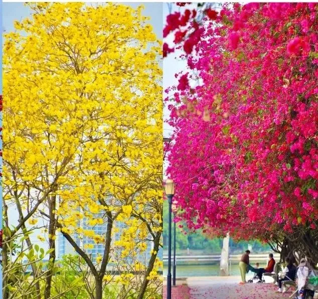 妇女节免票!中考游泳免费测!就在里水泽木体育馆→ 第13张