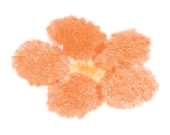 百日冲刺战中考,少年逐梦耀龙池 第25张