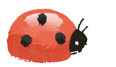 上海中考日期定档!26年竞争更激烈?现在转轨国际学校刚刚好 第3张