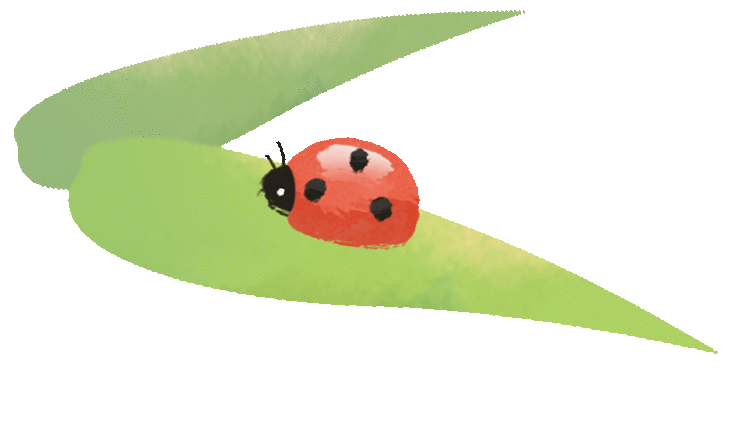 上海中考日期定档!26年竞争更激烈?现在转轨国际学校刚刚好 第6张