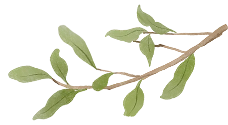 上海市教委正式发布:中考考试时间推迟,附90+所高中2025高考部分出口情况 第4张