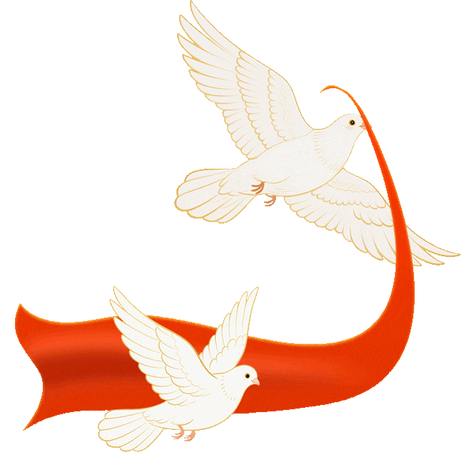 15岁女孩的“中考心结”,被他们解开了 第9张