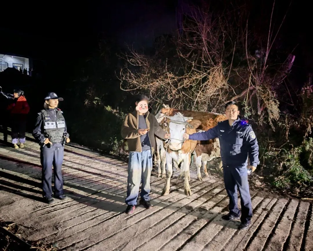 15岁女孩的“中考心结”,被他们解开了 第17张