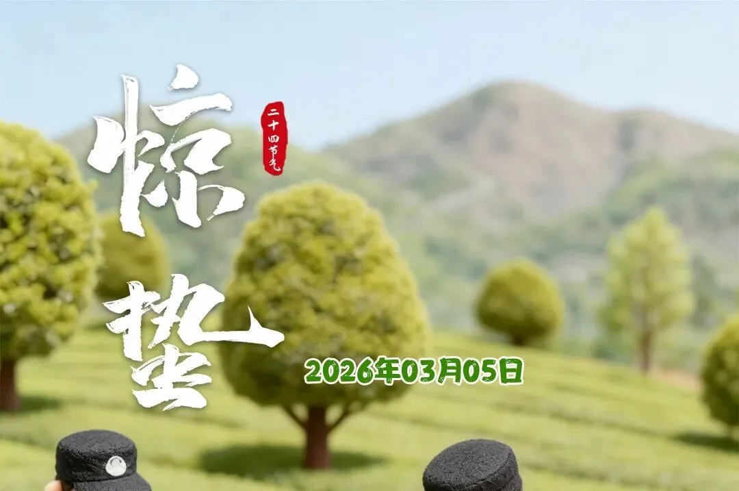 15岁女孩的“中考心结”,被他们解开了 第23张