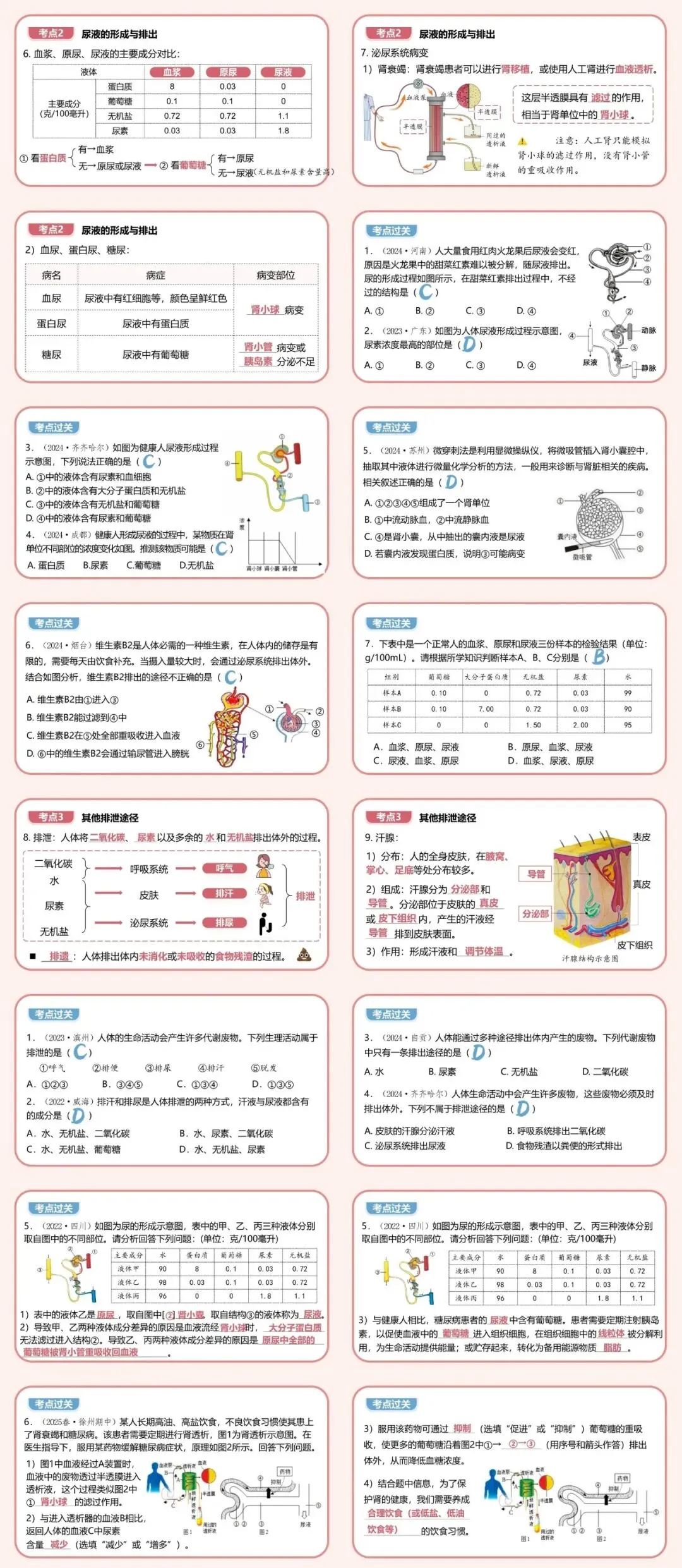 夏夏生物2026中考复习专题14《人体内废物的排出》课件、教学视频完整版,限时送满分秘籍! 第4张