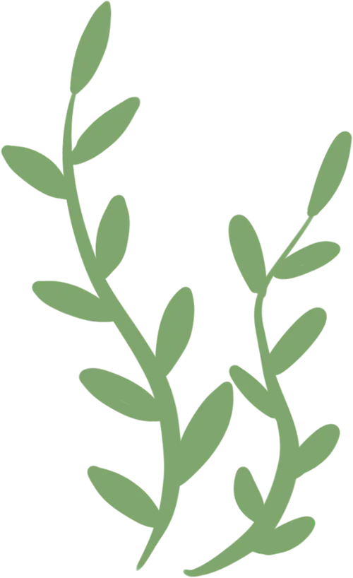 【华韵·教研】对标中考明方向 精准把脉促提升——古华中学迎区教研员指导九年级学科教学工作 第6张