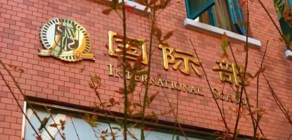 中考国际班择校系列——浅谈国际线科学择校:精准对标国际初中与国高课程英语能力要求 第2张