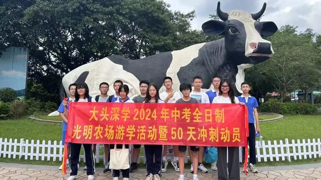 大头深学·2026年初三中考全日制集训班简章 第34张