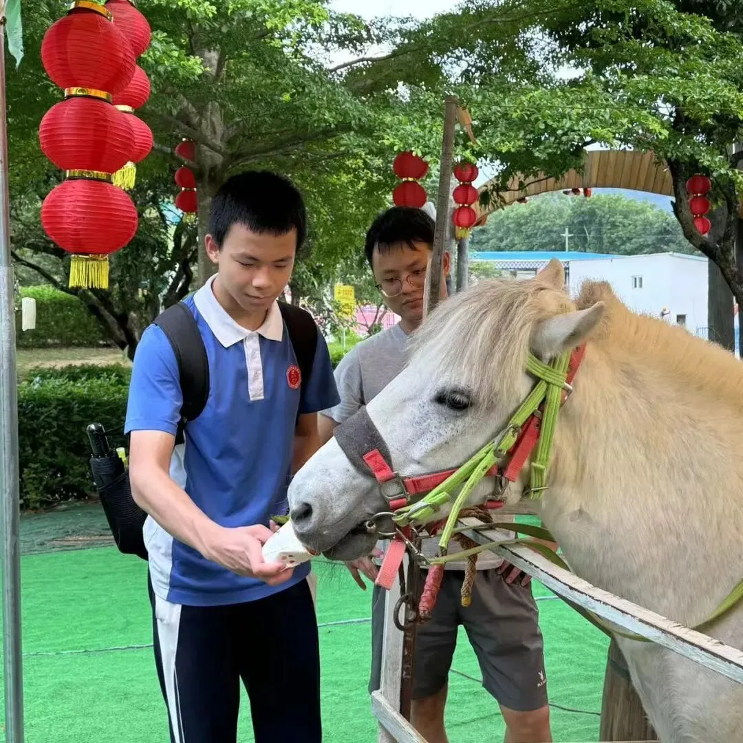 大头深学·2026年初三中考全日制集训班简章 第37张