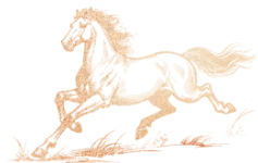 初中部|2026年春季学期开学典礼暨中考百日誓师大会 第15张