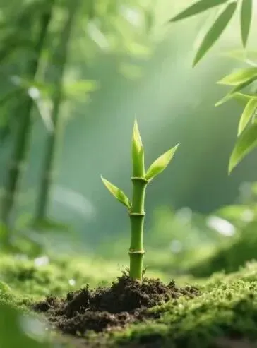 距中考100天 | 扎根百天,破土成林——竹子学校与你越而胜己 第2张