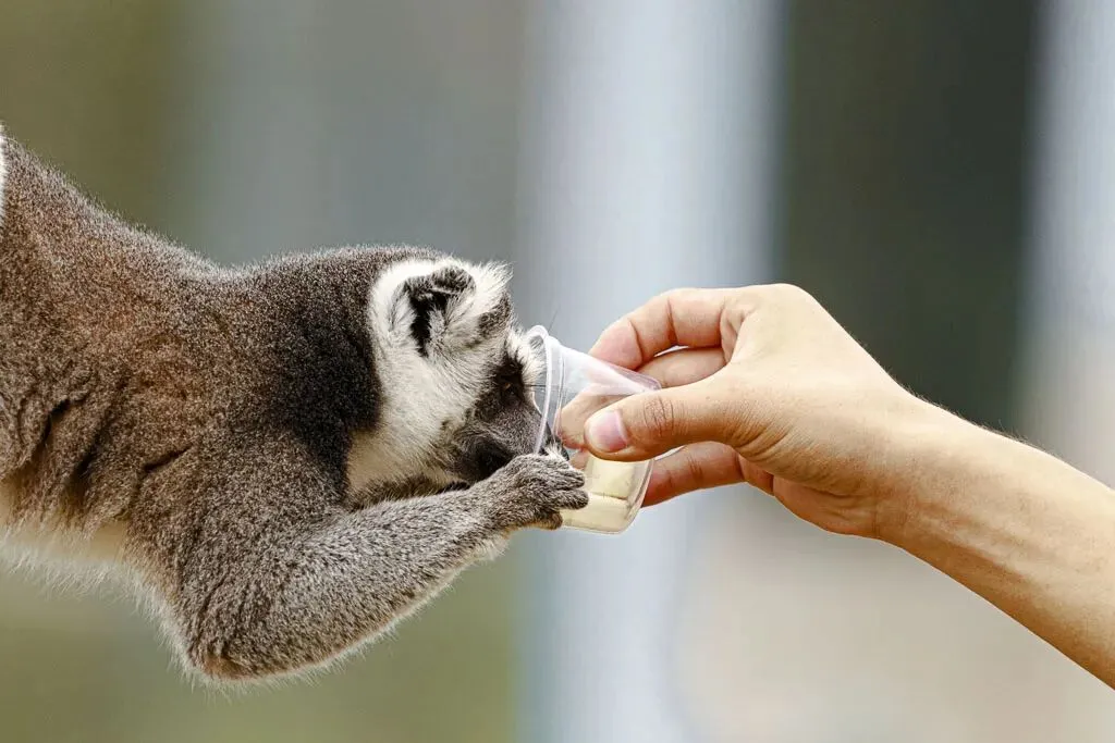 【中考阅读指导】己所欲,勿施于人(周国平)上海黄浦区2025一模 第6张