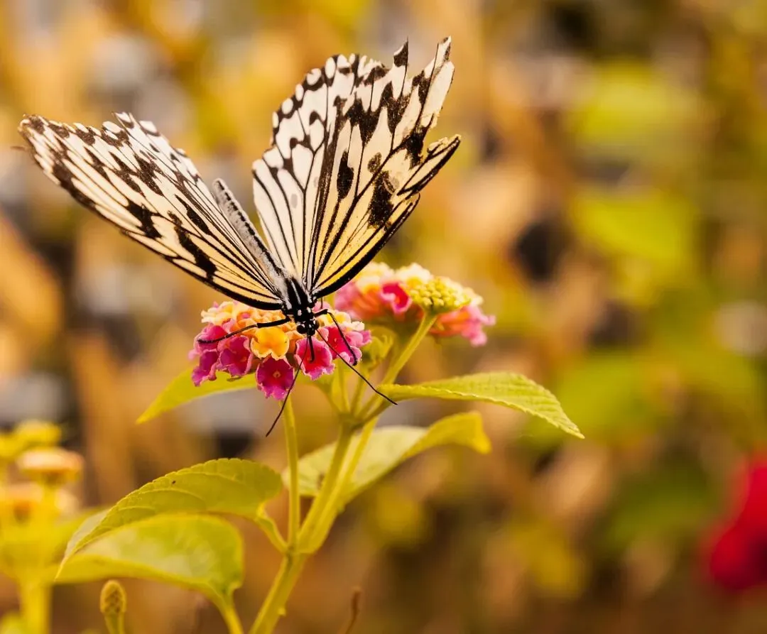 【中考阅读指导】己所欲,勿施于人(周国平)上海黄浦区2025一模 第8张