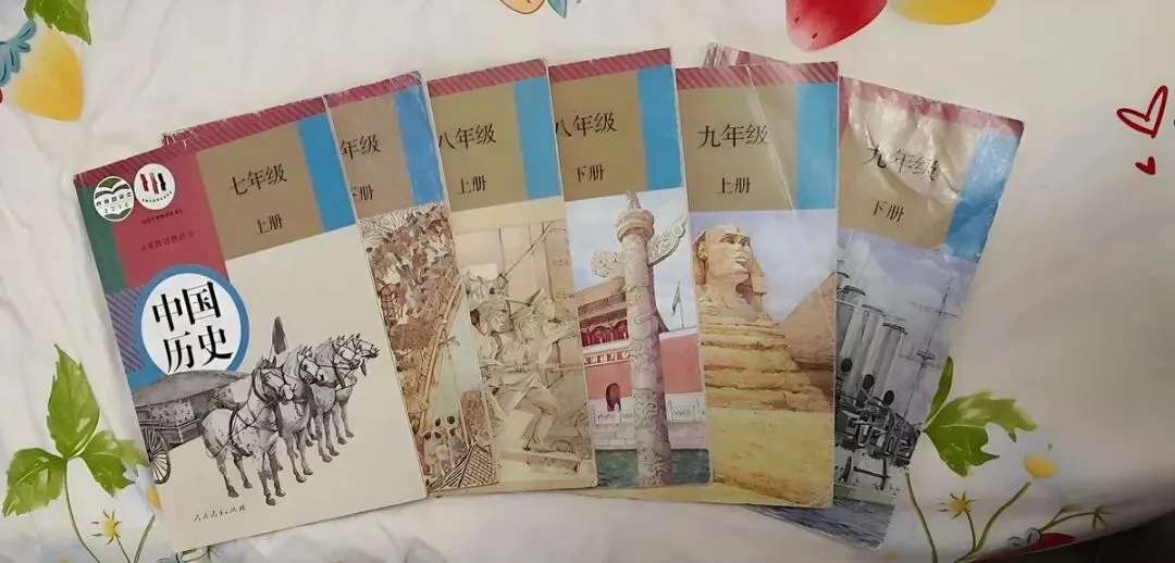 初中历史中考新课标(2022 版 + 2025 修订)核心全解 第7张