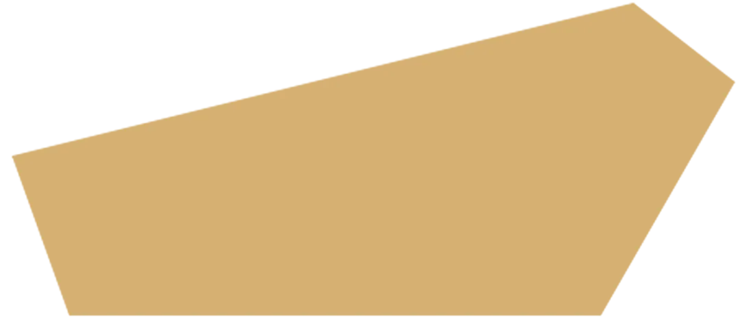 百日逐光,毅行湘湖——致我们并肩奔赴的中考之约 第22张