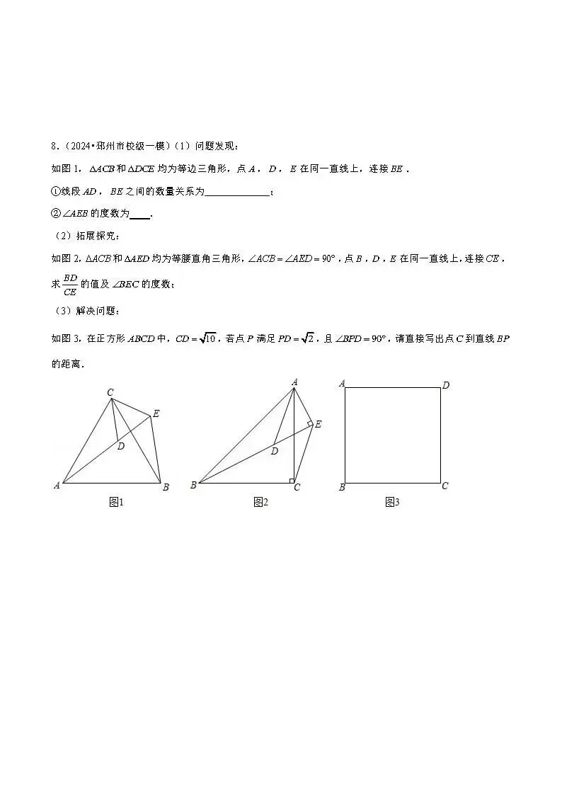 中考数学压轴题:全等三角形基本模型 第20张