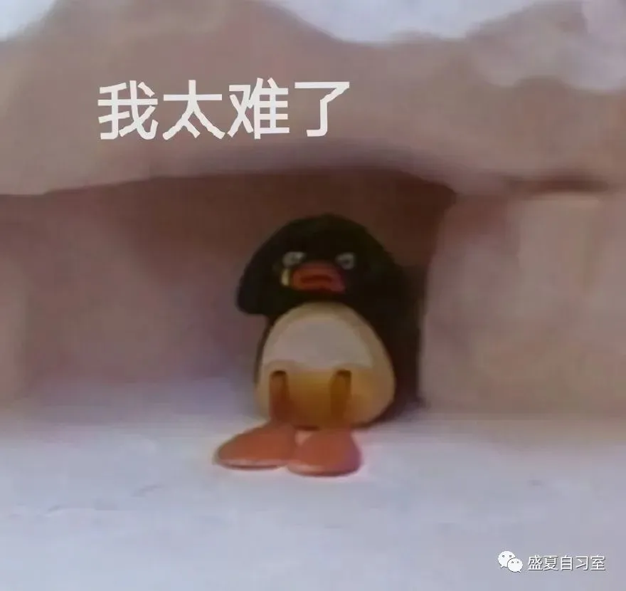 中考相关打卡 I 综合刷题&中考词汇中译英集训&高考词汇 第2张