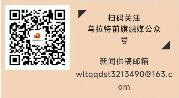 中考网报即将开始!这些事项要注意→ 第7张
