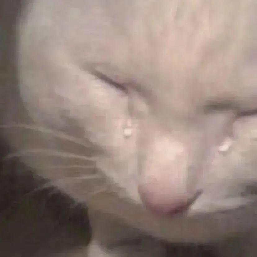 还没确定目标高中?!【汕头中考志愿模拟系统】一键生成你的专属志愿方案! 第4张