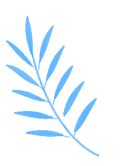 2026领跑中考历史总复习 广东专版 含:优化训练+早读晚诵本+解题方法与题型专练+试卷+答案 第2张