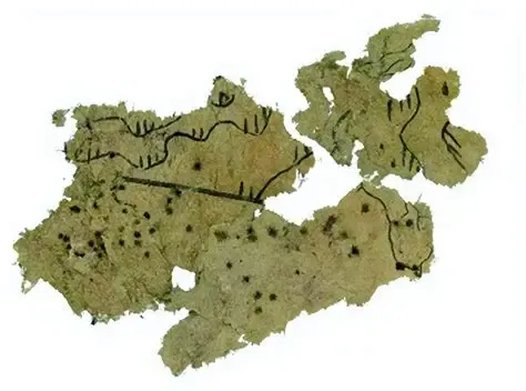 2026年中考历史主观题强化训练60题(3)学生版 第16张