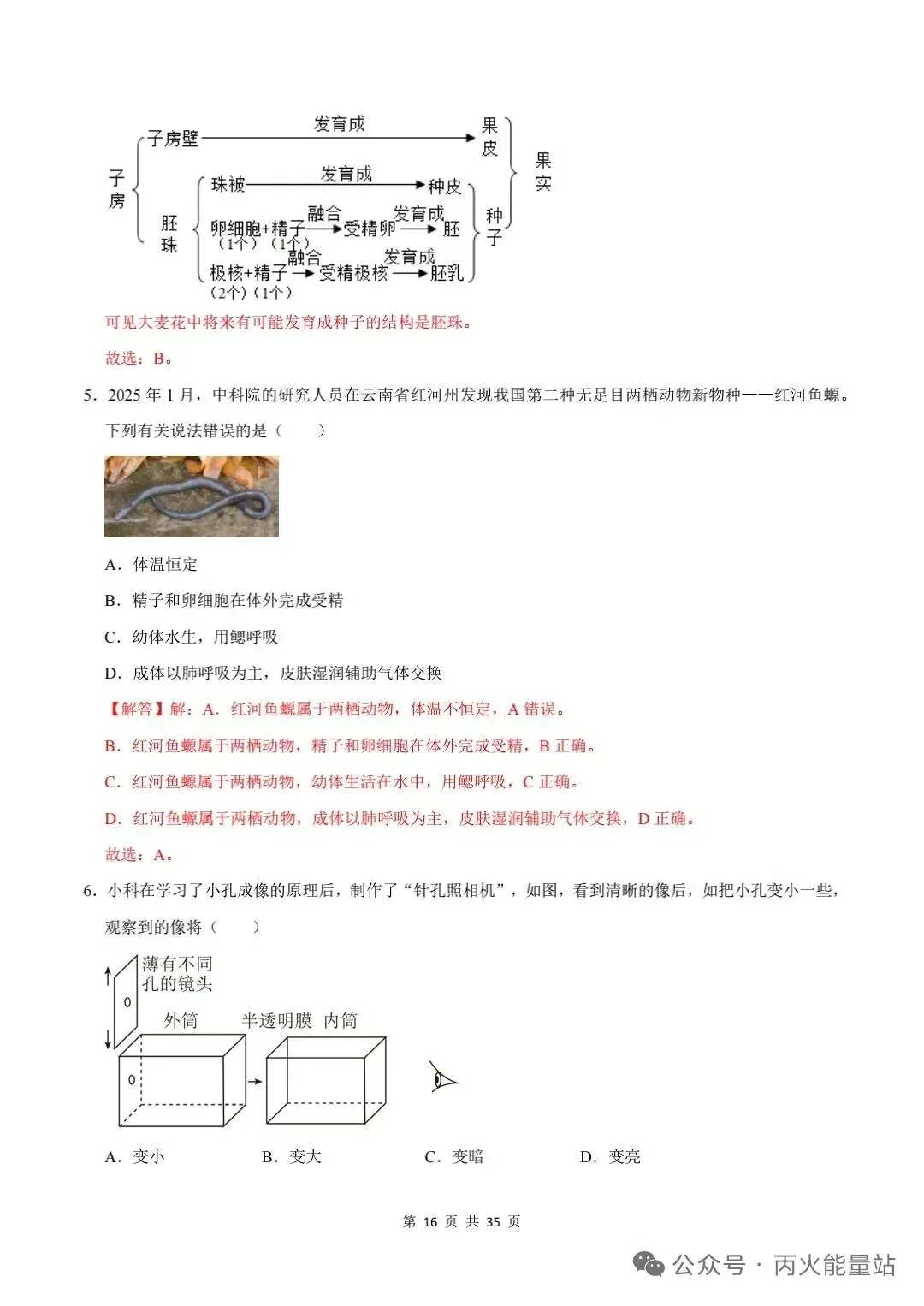 2026年中考科学一轮考试模拟卷【浙江专版】 第4张