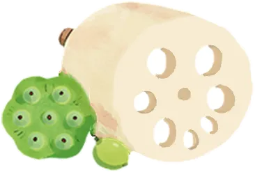 中考数学(2026北师大版) 第15张