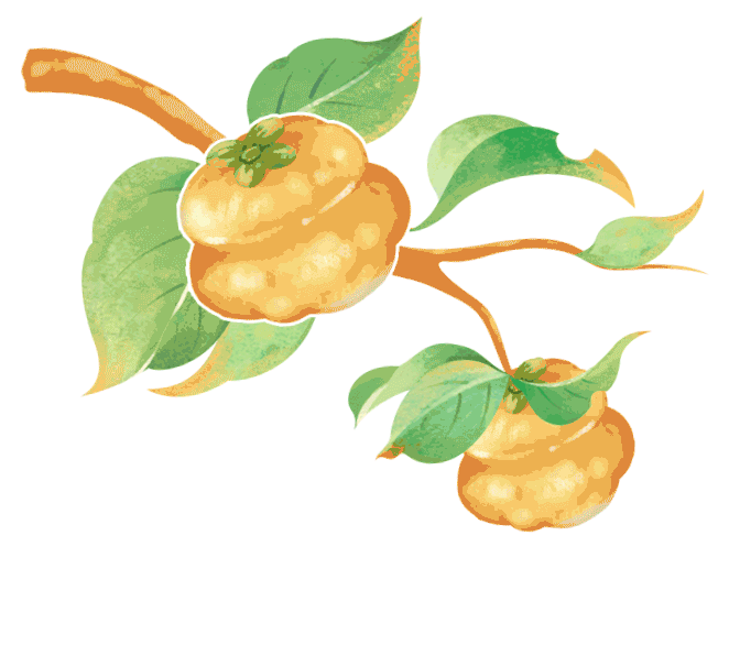 中考数学(2026北师大版) 第20张