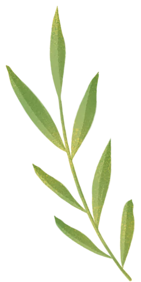 石棉县城北中学举行2023级中考百日冲刺誓师大会 第21张