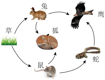 (第41期)生物中考复习——主题三 :生物与环境 第15张