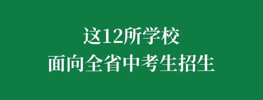 中考生家长注意!2026东莞中考补报名通道开启 第5张