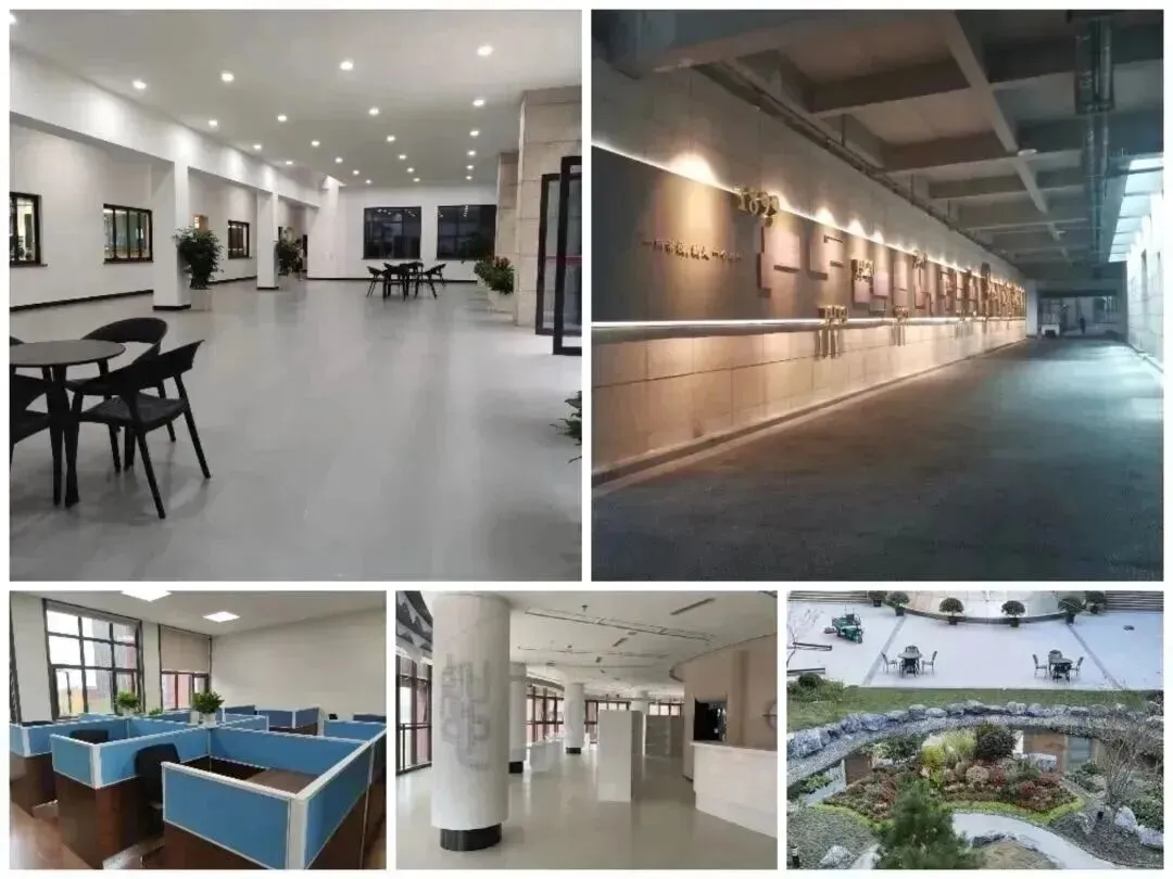 中考择校:杭高贡院 | 2025届毕业生C9/985录取情况统计 第8张