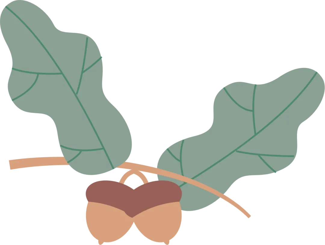 新2026年中考语文一轮复习基础考点知识清单 第34张