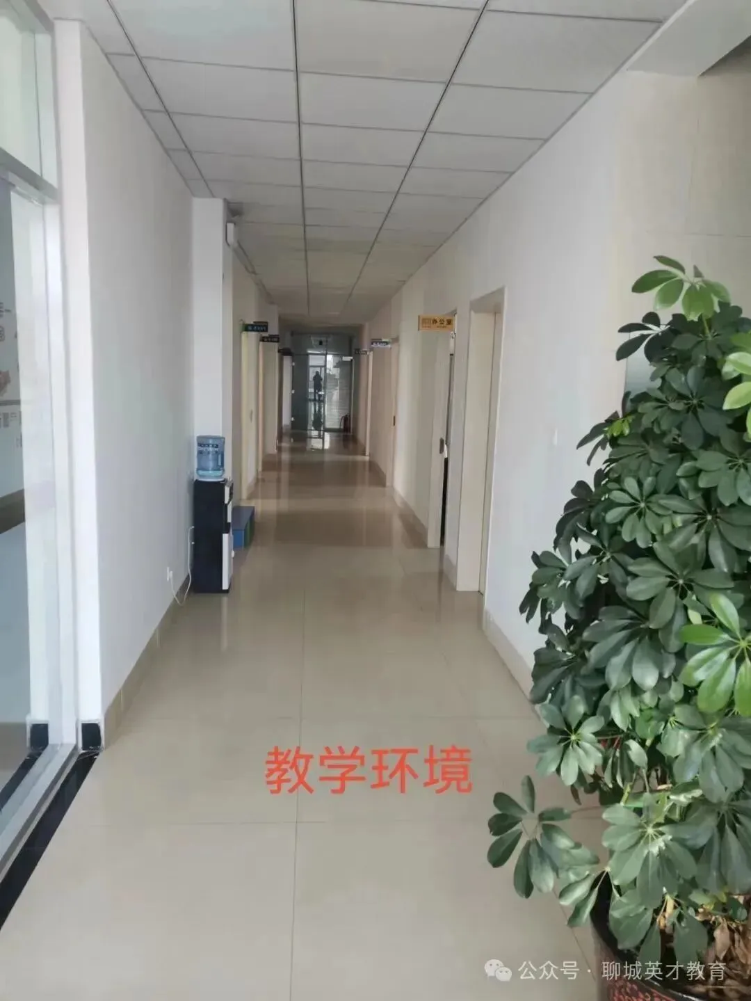 2026 中考冲刺倒计时|英才教育春季集训火热招生!上中考班免费练信息技术 第6张