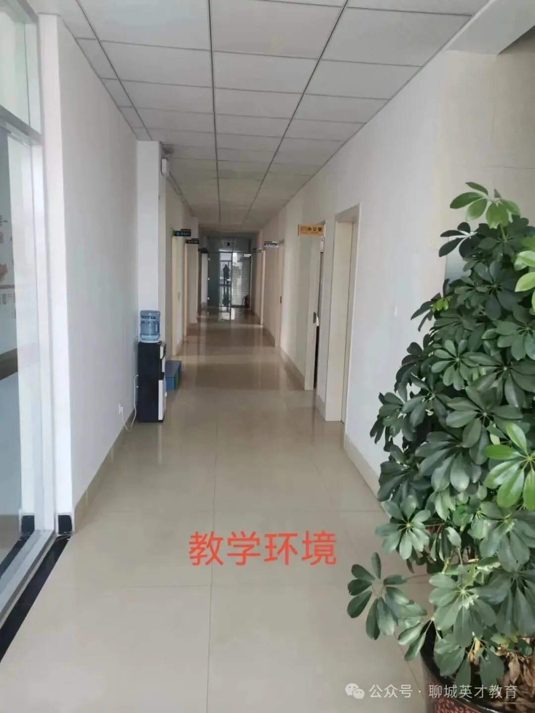 2026 中考冲刺倒计时|英才教育春季集训火热招生!上中考班免费练信息技术 第8张