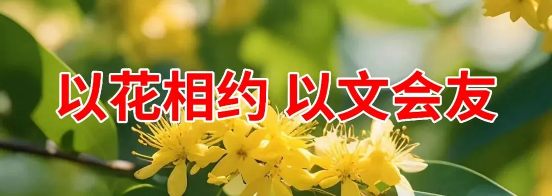 百日誓师,青春出征——致2026中考:愿每一份努力,都不负少年锋芒 第1张