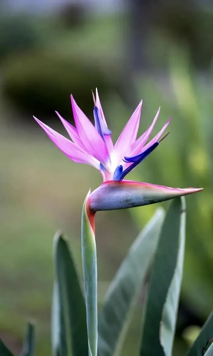 百日誓师,青春出征——致2026中考:愿每一份努力,都不负少年锋芒 第2张