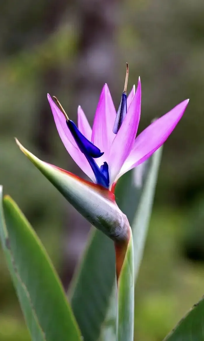 百日誓师,青春出征——致2026中考:愿每一份努力,都不负少年锋芒 第6张