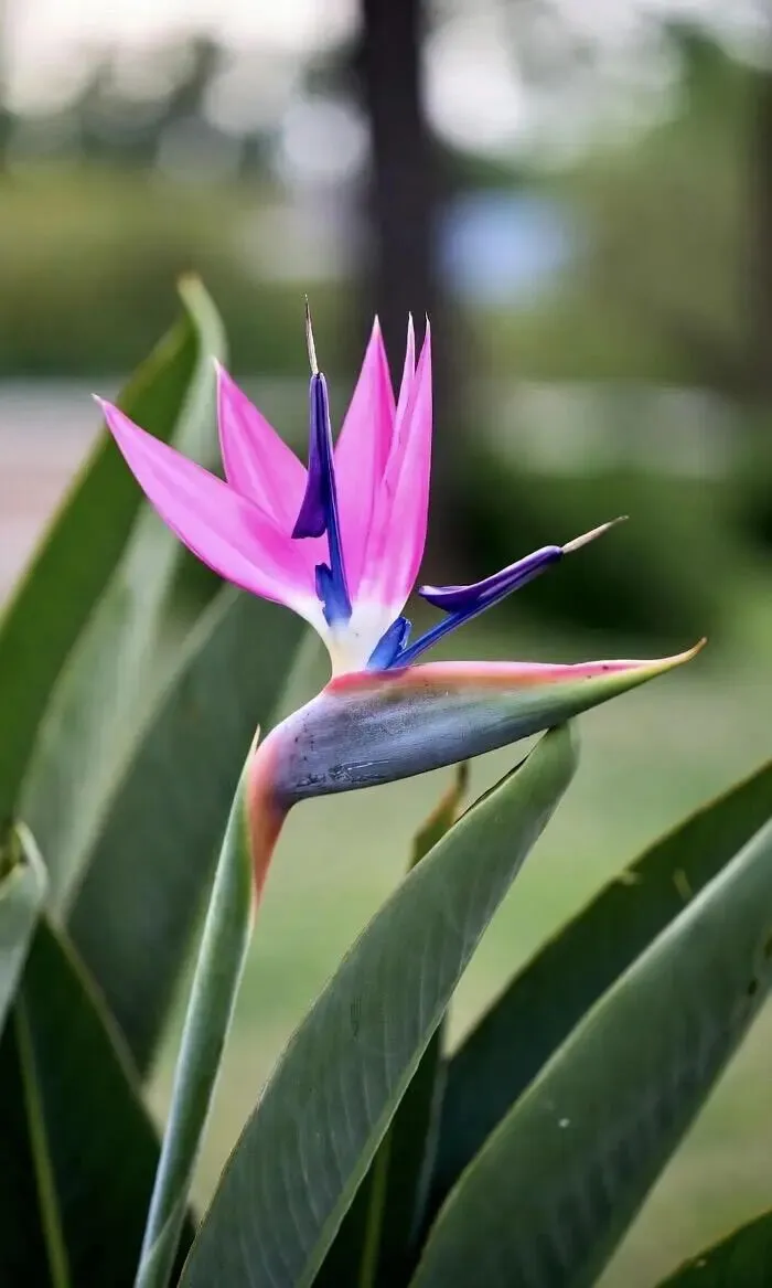 百日誓师,青春出征——致2026中考:愿每一份努力,都不负少年锋芒 第7张