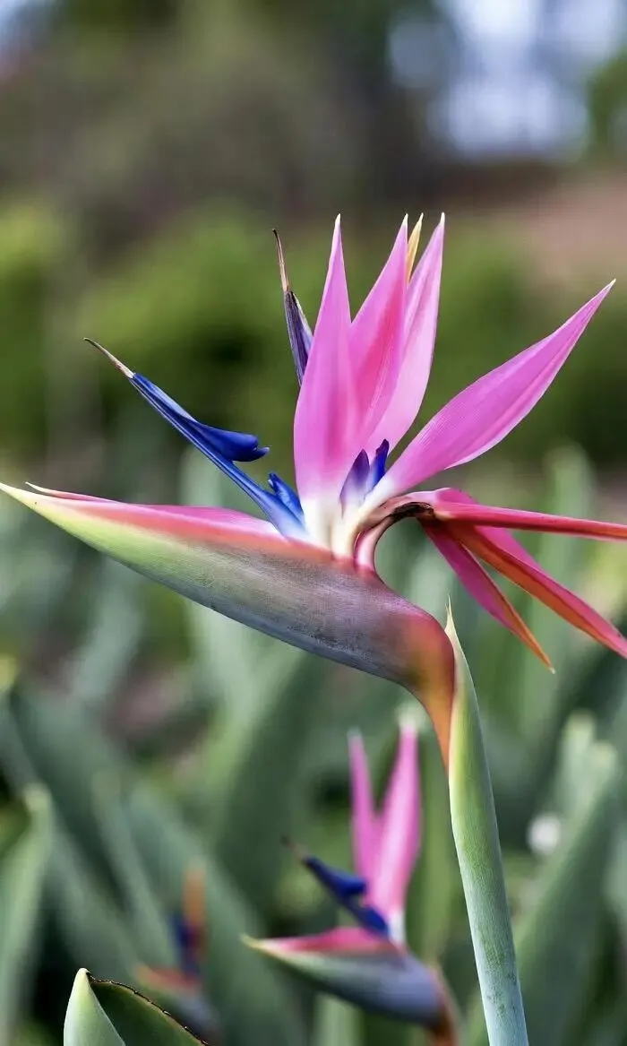 百日誓师,青春出征——致2026中考:愿每一份努力,都不负少年锋芒 第8张